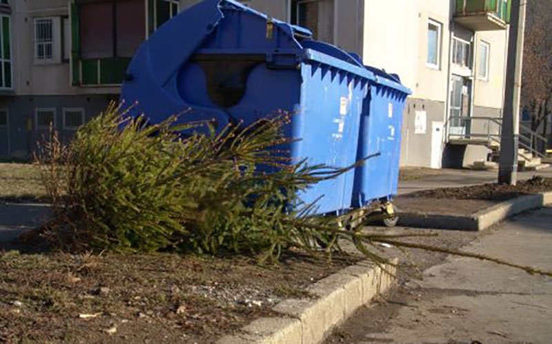 karacsonyfa kuka melle