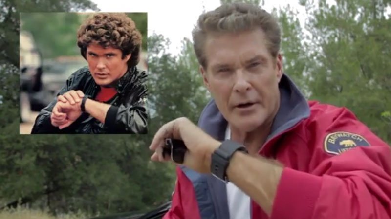 hoff