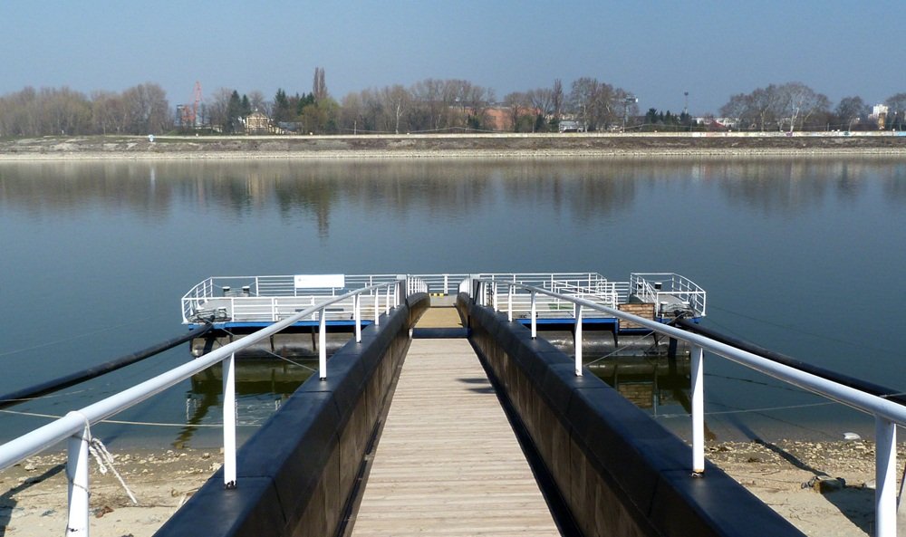 1500884 954740187879050 3812247850303119607 o