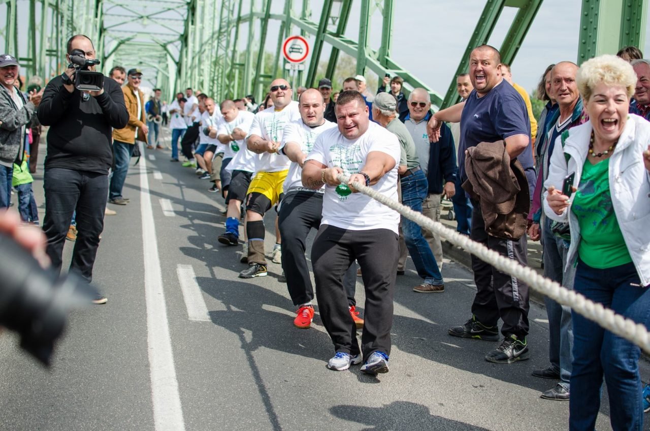 11009186 1606476146261496 1183257866588745208 o