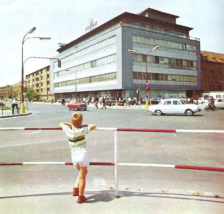 10951612 343793162486086 7899199338201920740 n