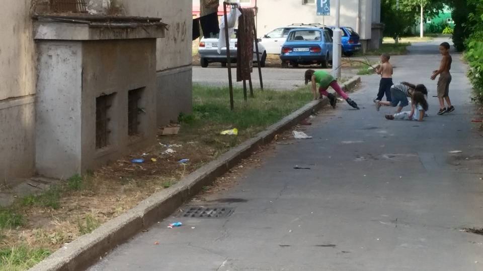 11824944 999320626764958 6272693307024860227 n