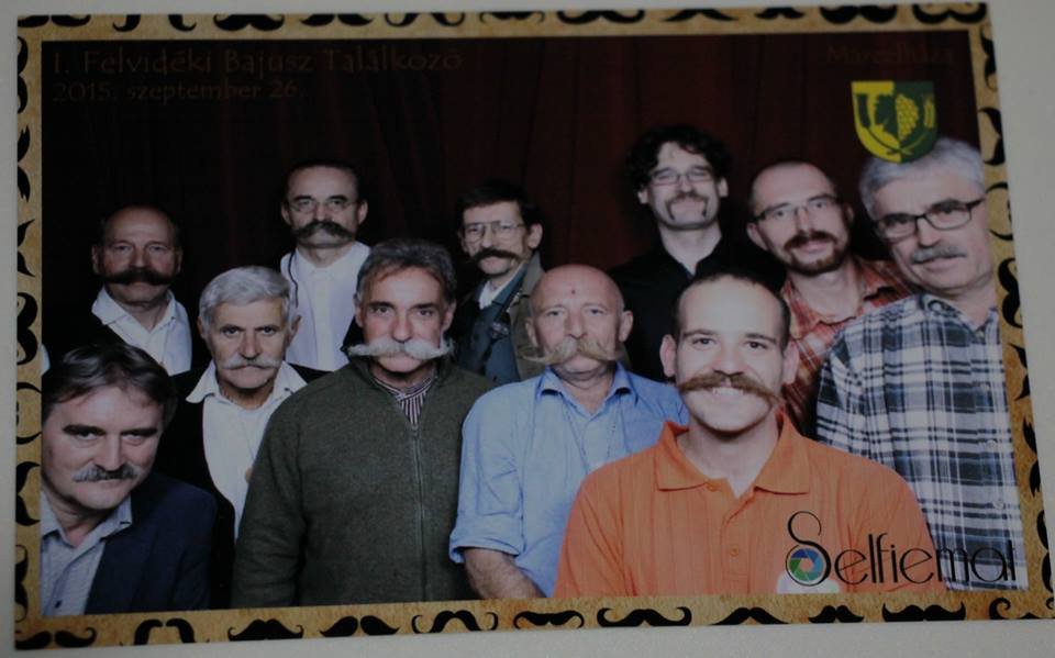 12049616 10204287790109495 7180375335285246270 n