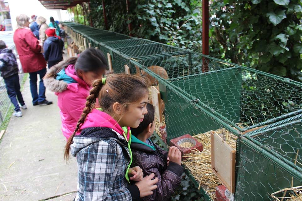 11990544 921335111281320 2679952225128477018 n