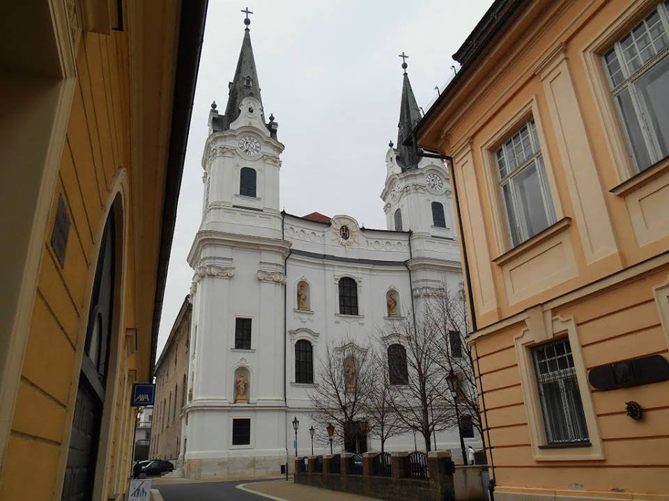 12107159 1025079280877642 846064193042014401 n