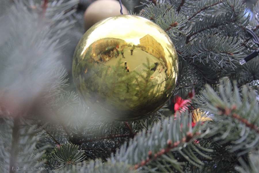 12226991 435282119929900 5004457285962287372 n1