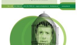 maxresdefault4 scaled