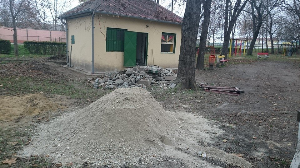 12308671 918084291607933 3799929521195917011 n