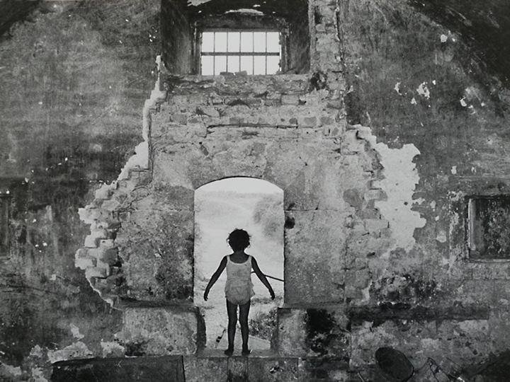 1533733 307835562748513 8768044571654474214 n