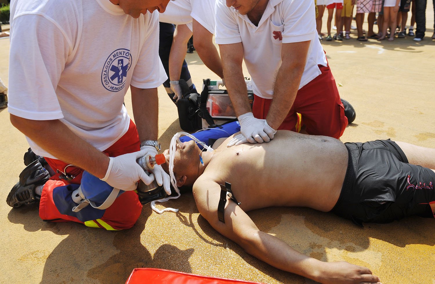 201 000 3D359D4007A81CE8384AA6EEE5D1E6E68E2AEE8B nol