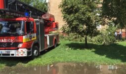 13883806 10154389379543114 1201324410 n