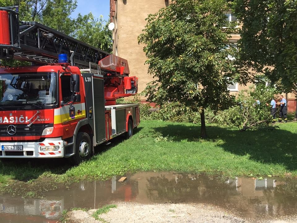 13883806 10154389379543114 1201324410 n