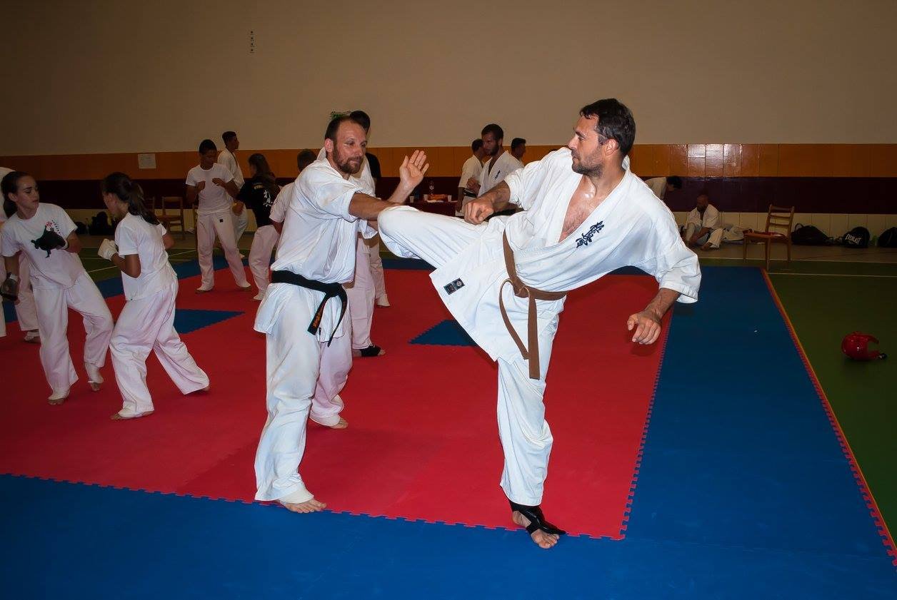 14249750 914154162046934 893352586522587078 o