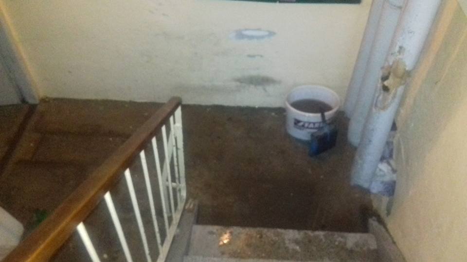 16265519 10208029868536502 8554500659133289311 n