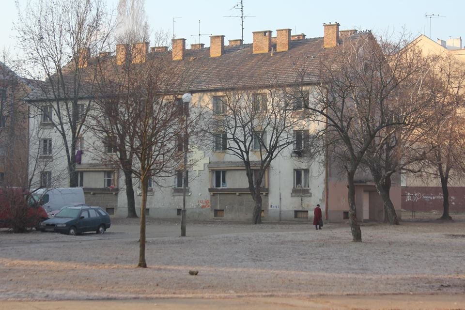 16603147 1618231211525224 2888926995965990199 n