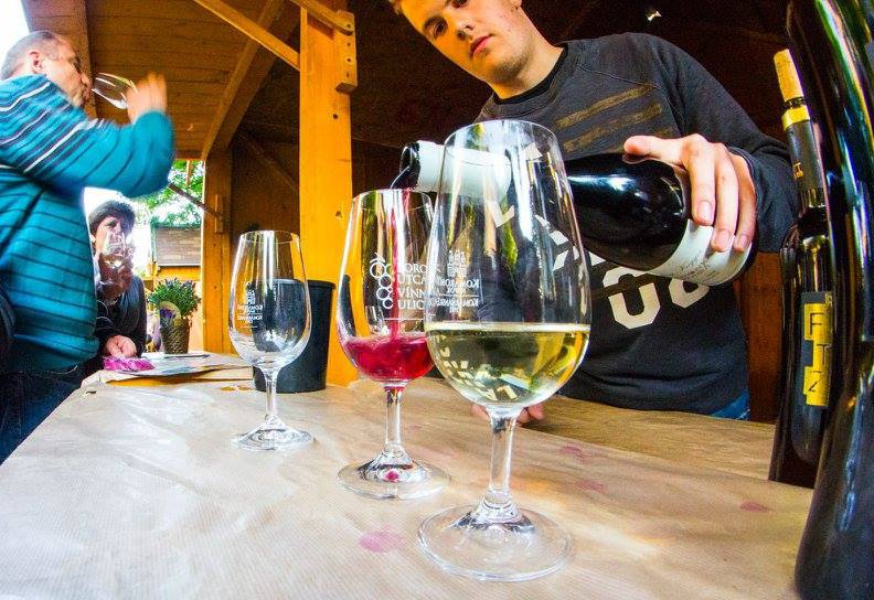 12213124581 1733423006900142 6346092674367361187 n