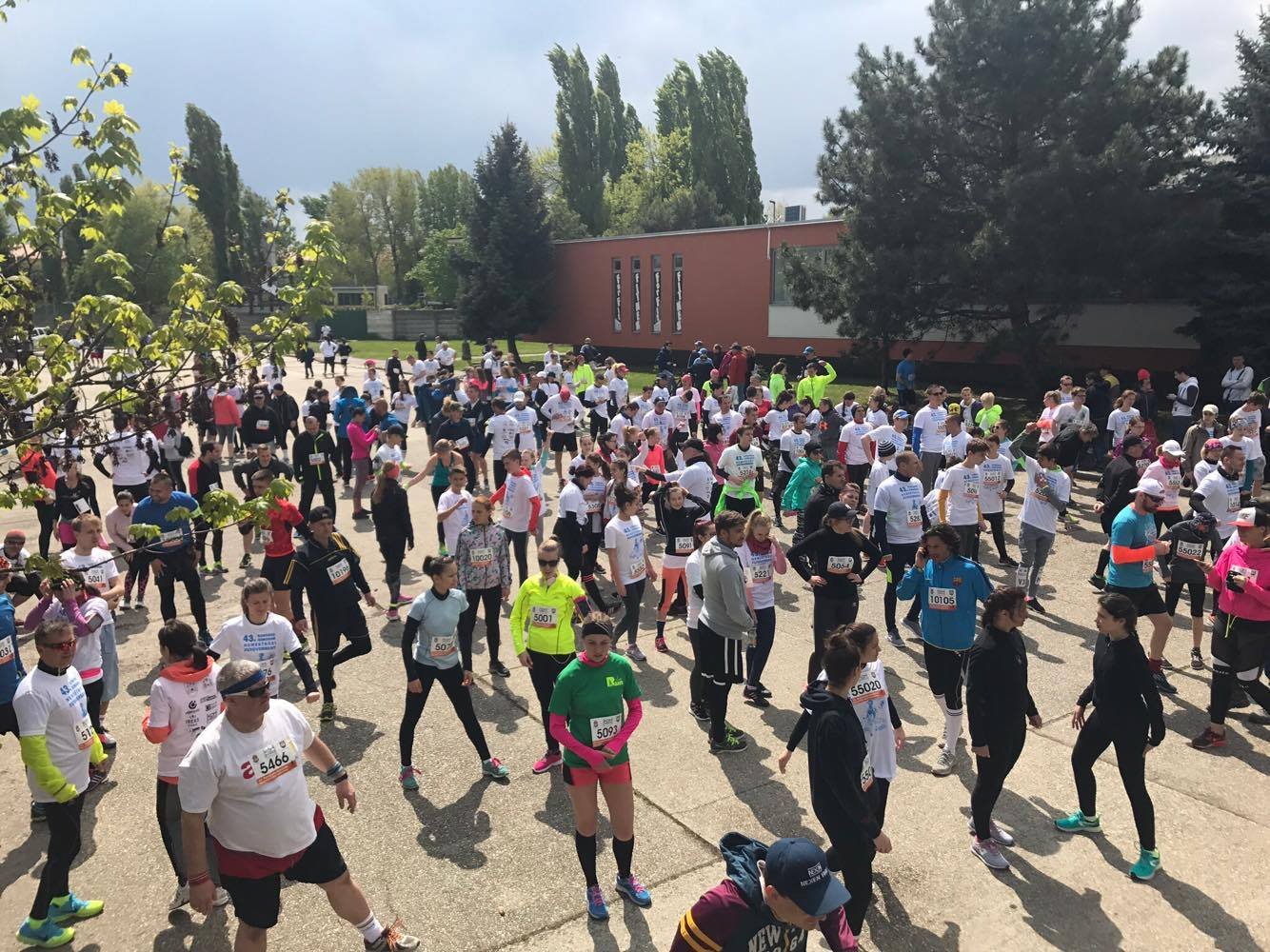 18120133 10209219400902124 520448366 o 1