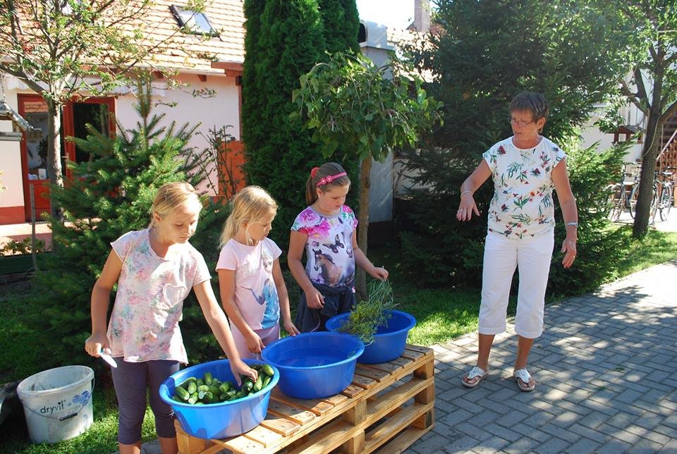 14202546 1206149032741000 5043204109854229372 n