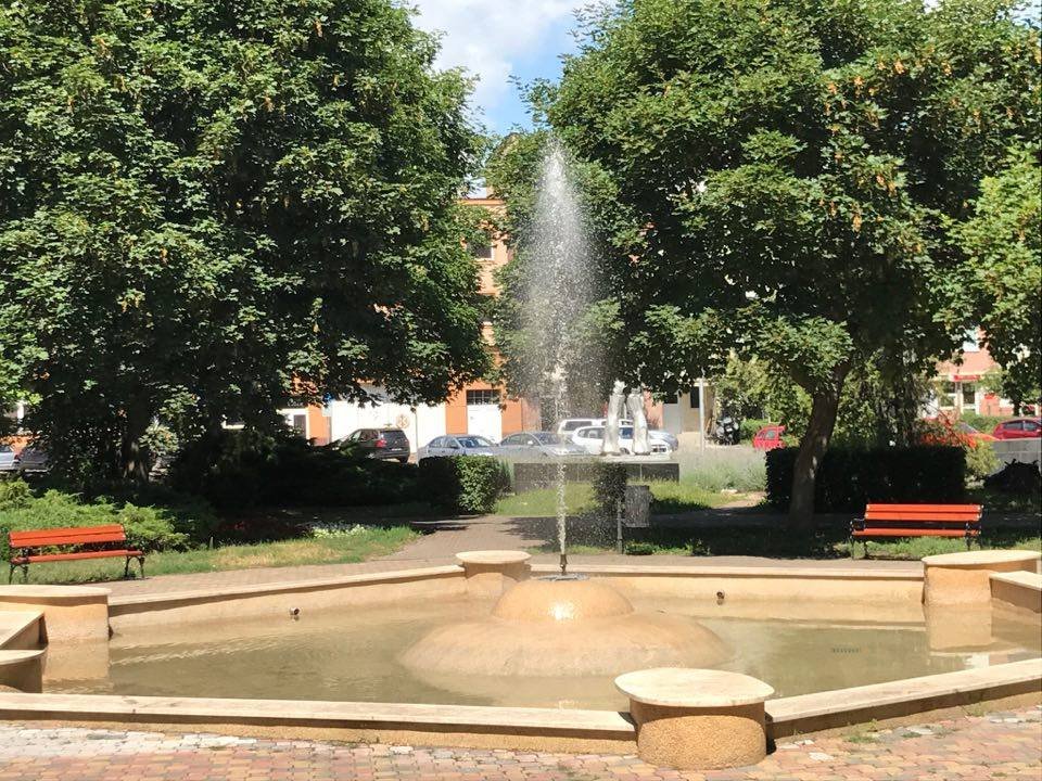 19990377 1386906401392384 4996746031824365194 n