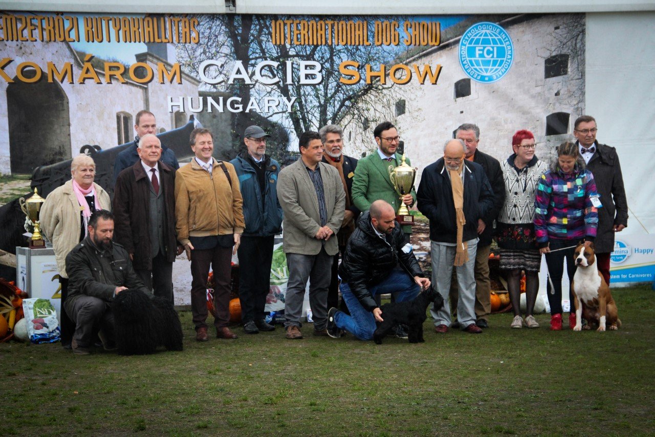 kutyakiállítás2017 23 Custom