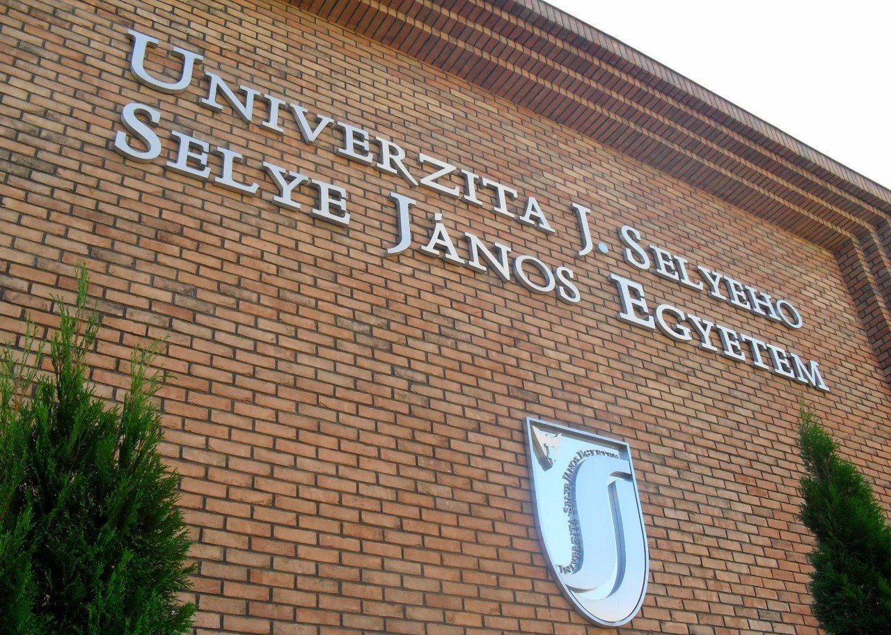 selye janos egyetem Custom 1