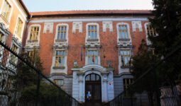 Gimi 3