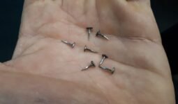 26196420 10210804246124142 1056970305904184354 n