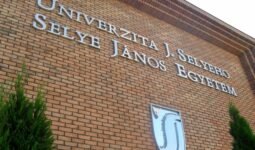 selye janos egyetem Custom 1