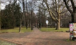 zenepavilon is epul a megujulo jokai ligetben image 104849 16 9