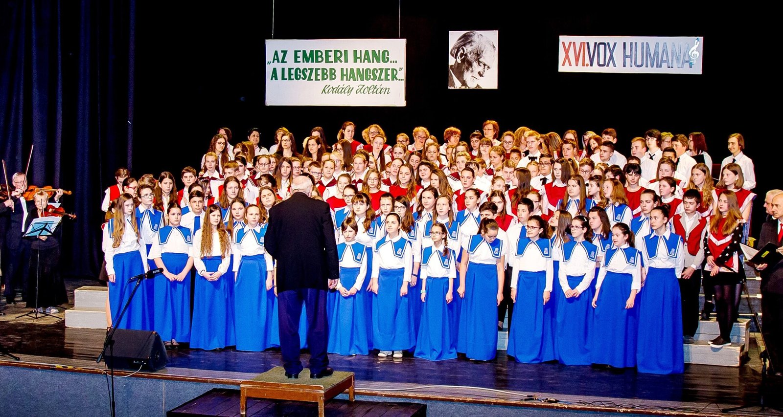 XVII VOX HUMANA elé 1 scaled