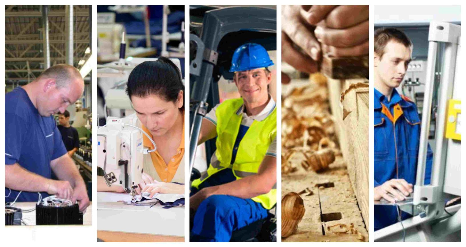 collage 00578415 1 scaled