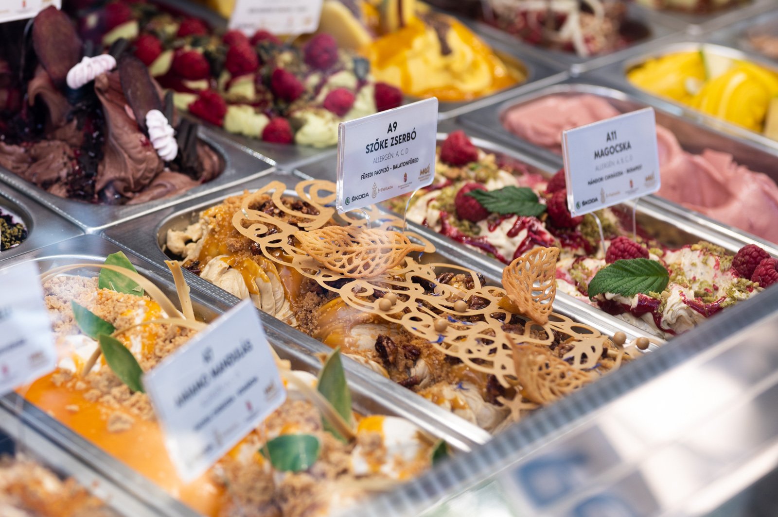 Szoke zserbo EF 2022