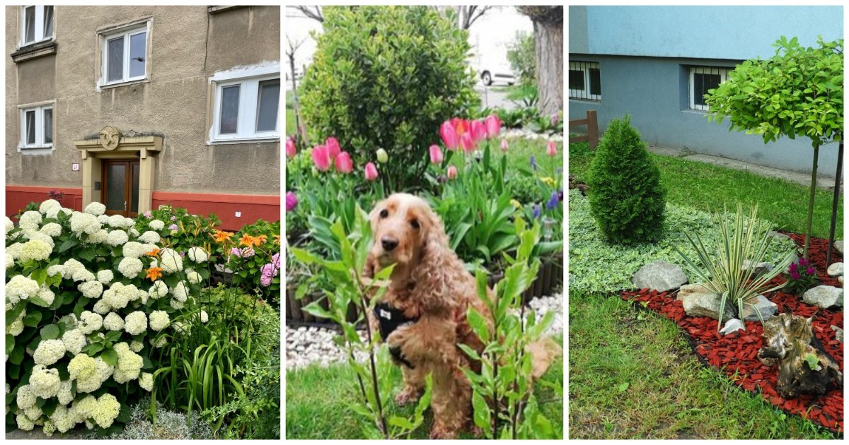 Collage Maker 31 Aug 2023 03 45 PM 8076