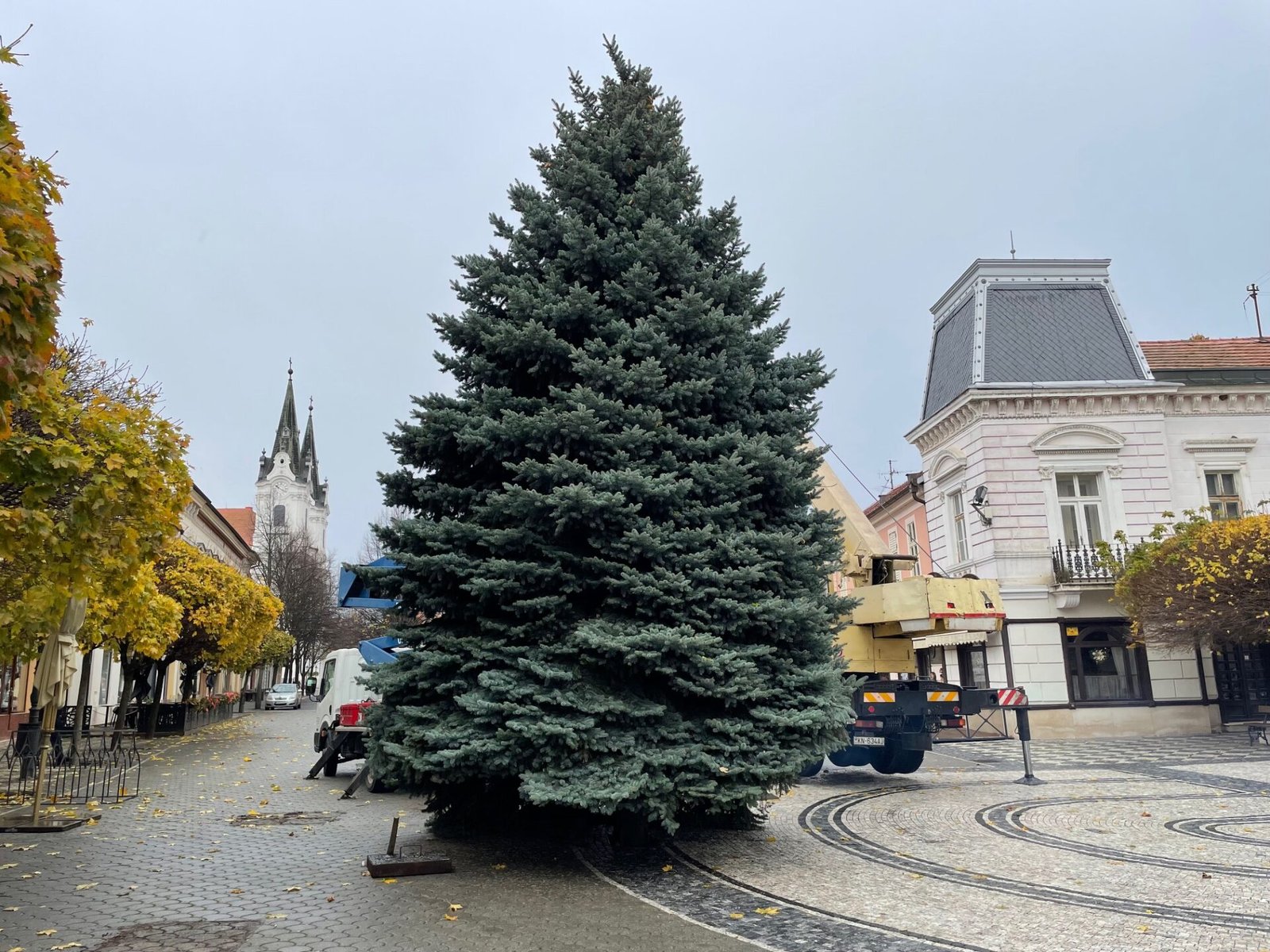 405756058 838910958241748 1931579495574251015 n 1