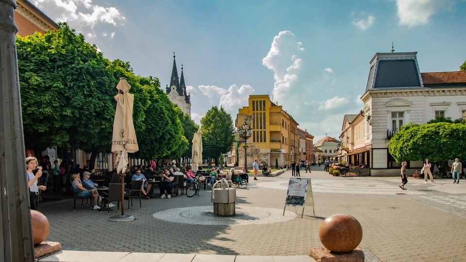 441951733 7842127439170949 7054616130154574579 n