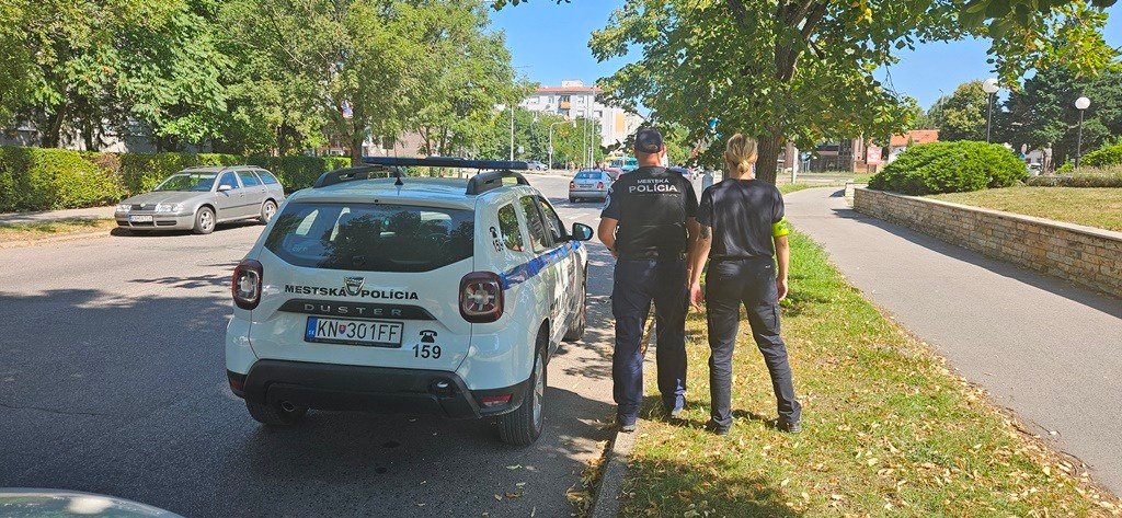 532632310 1341183604681145 6385691779620873981 n