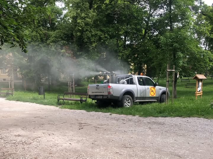 533881337 1342204134579092 6074322892781981474 n