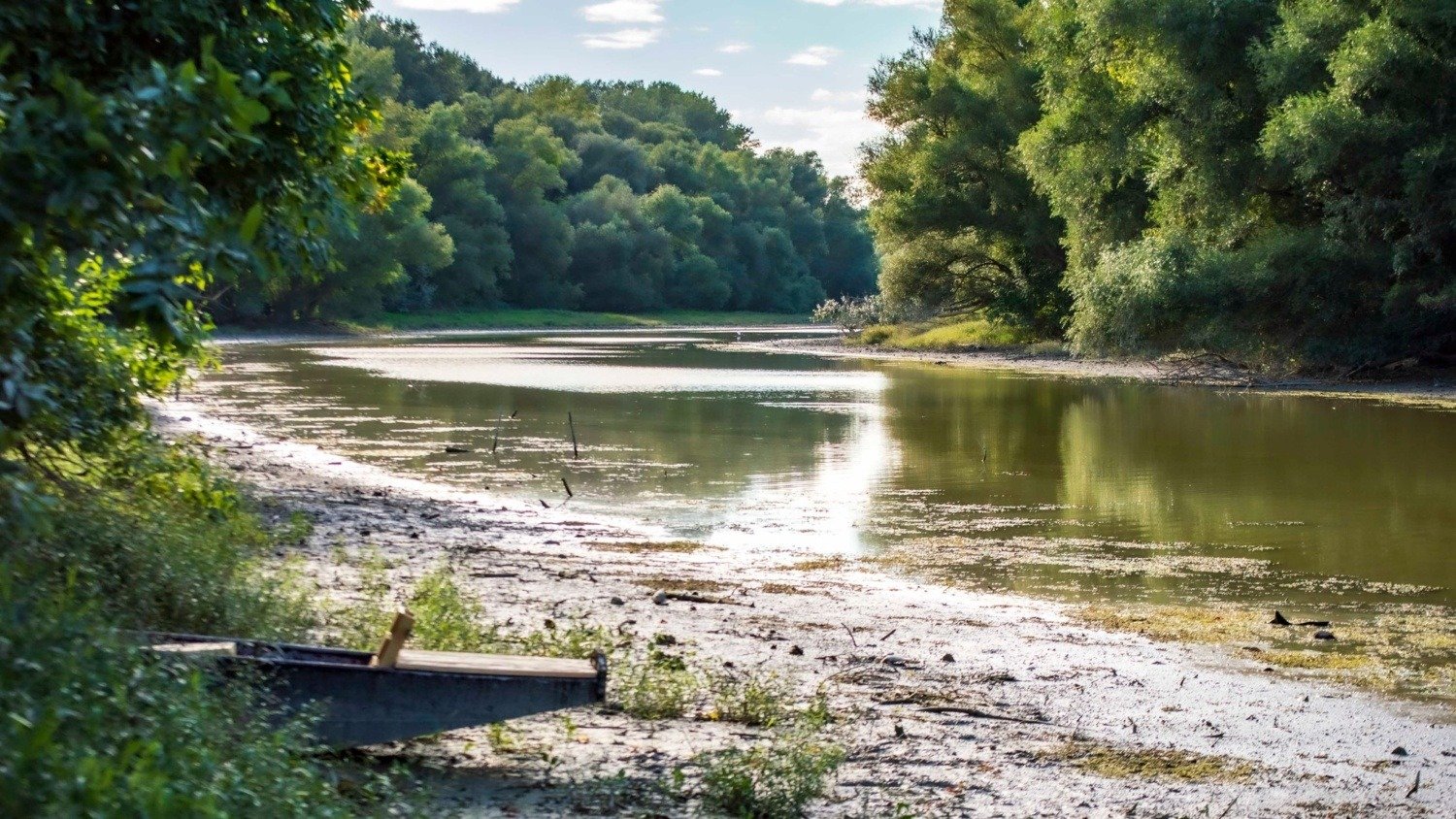 514253819 24855464117410682 6861995579621053922 n