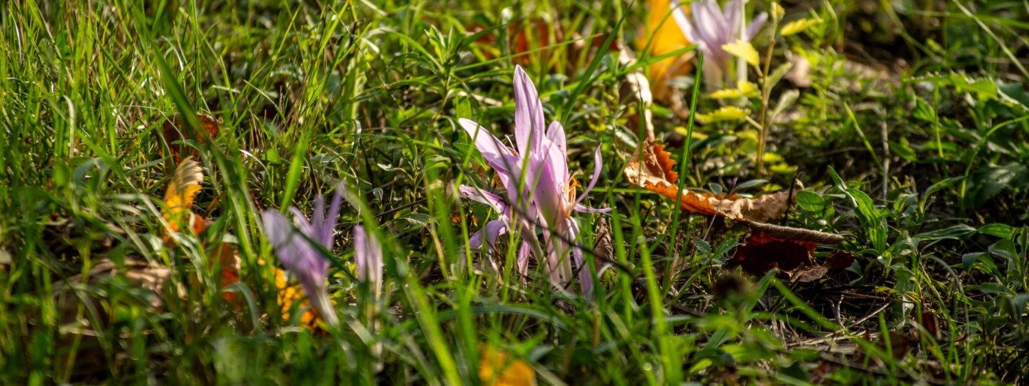 514262241 24854835524140208 1063547394927636967 n