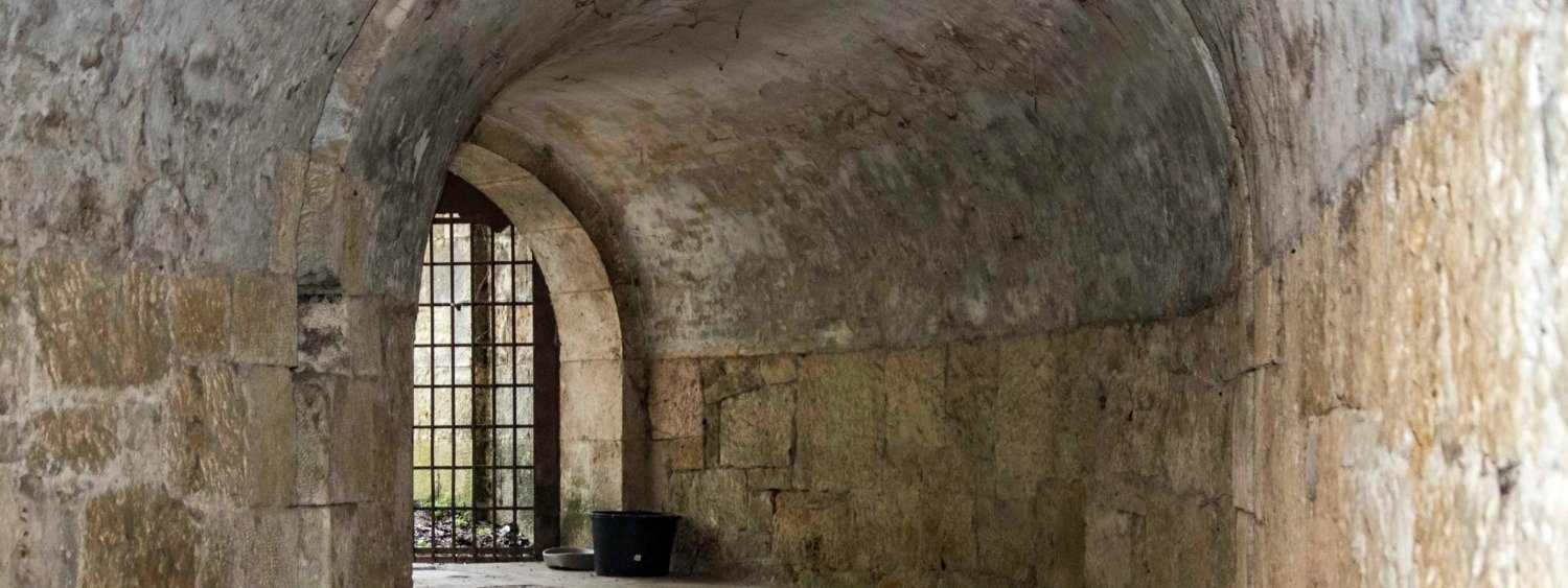 514270378 24844474465176314 5626054455314006558 n