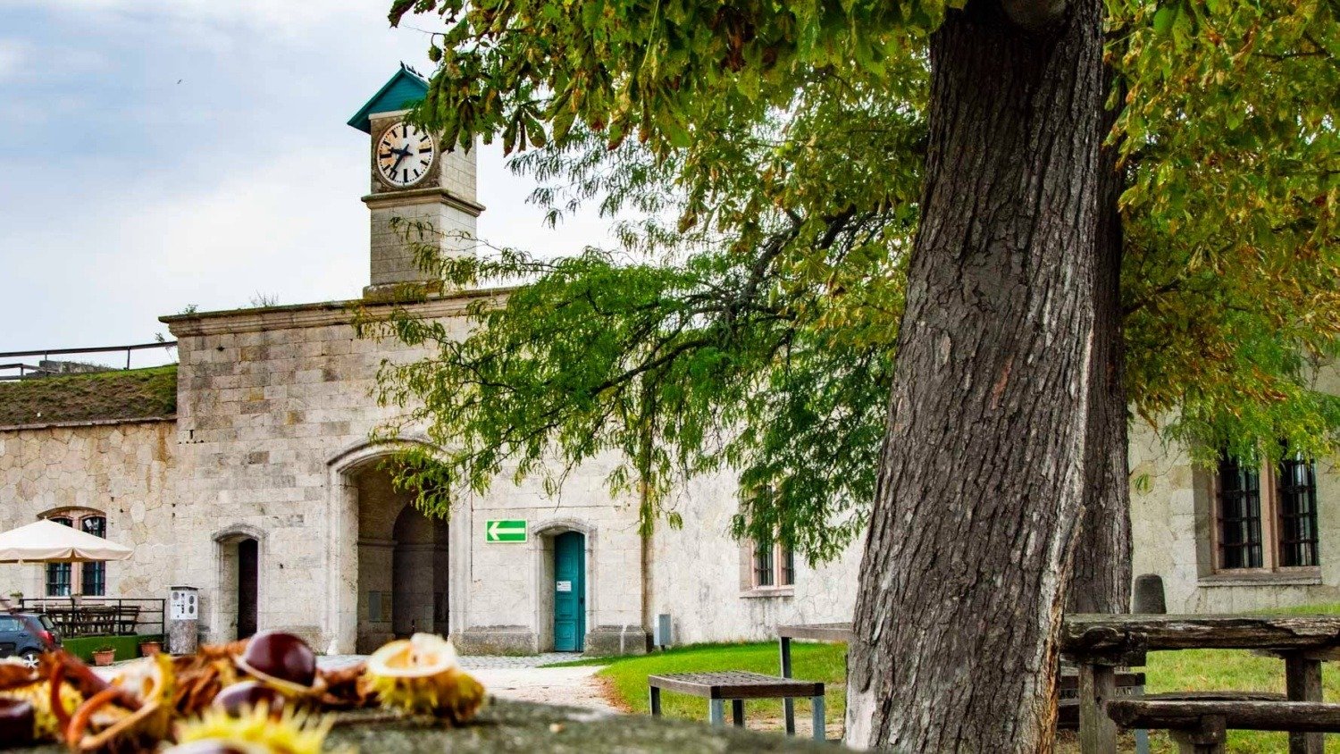 514274382 24837334032557024 7494745987054616735 n