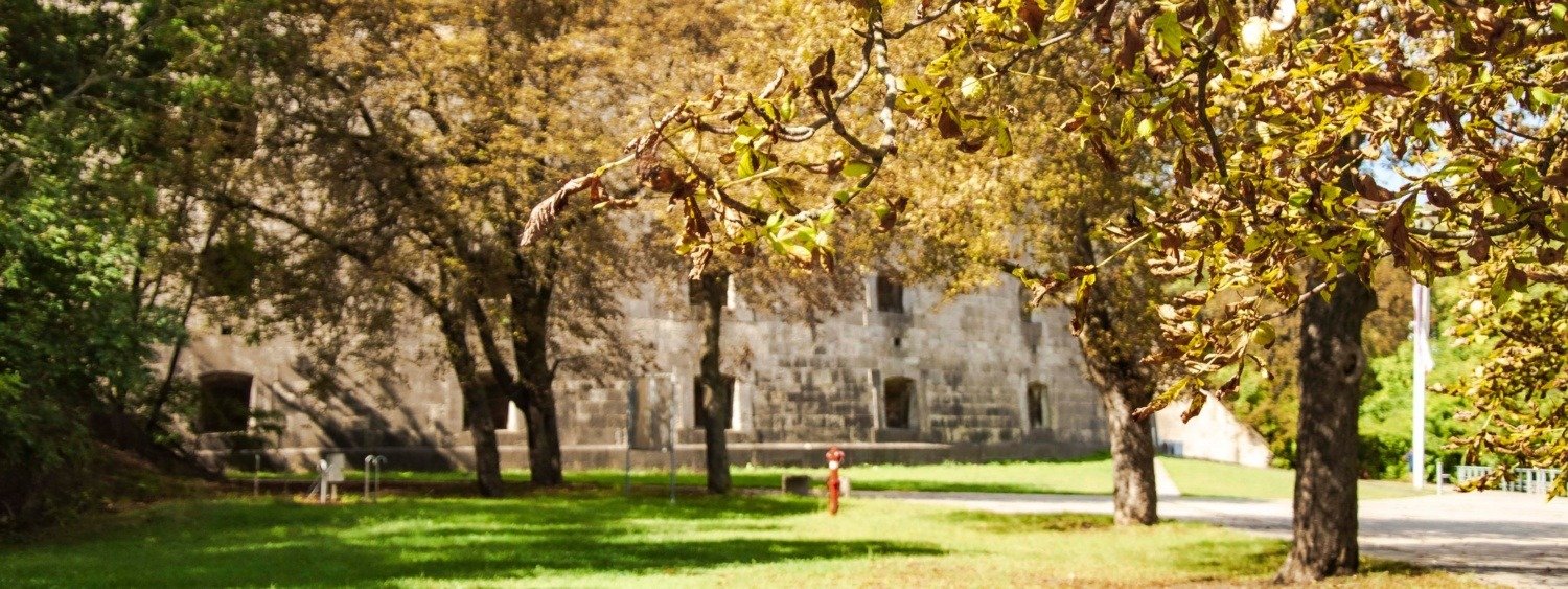 514342156 24853027377654356 4716407609912758649 n