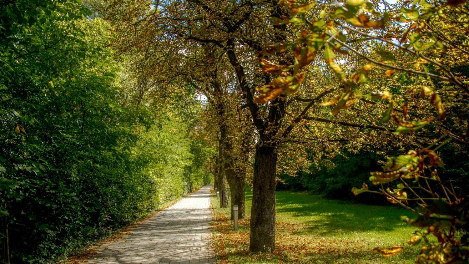 514394811 24862857906671303 4846001488396942121 n