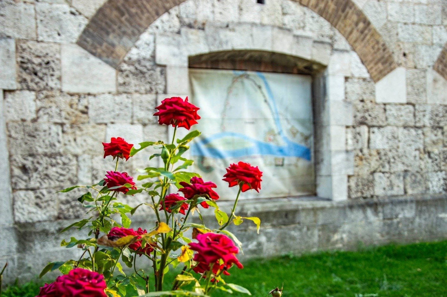 540188540 1608851163432489 8939456828032725582 n