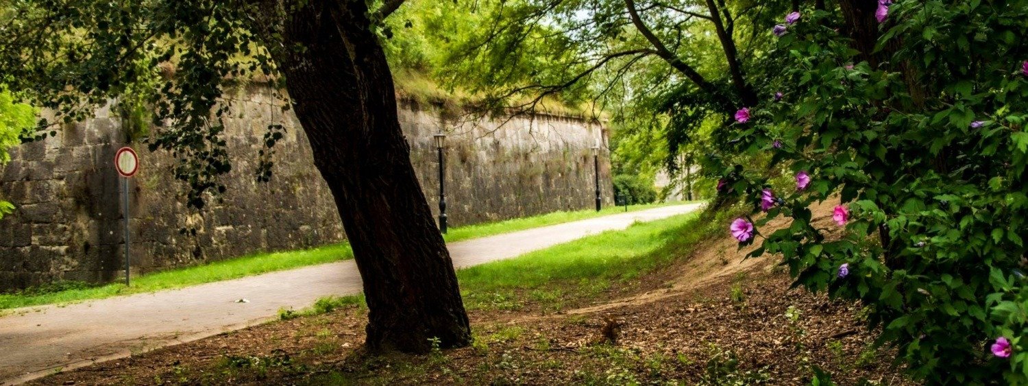 544906897 24789251944031900 1544965171580866452 n