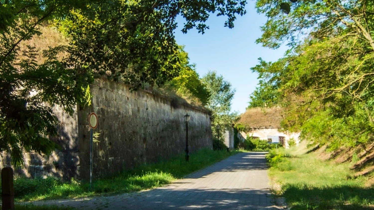 545442881 24789255784031516 1749707642785461053 n