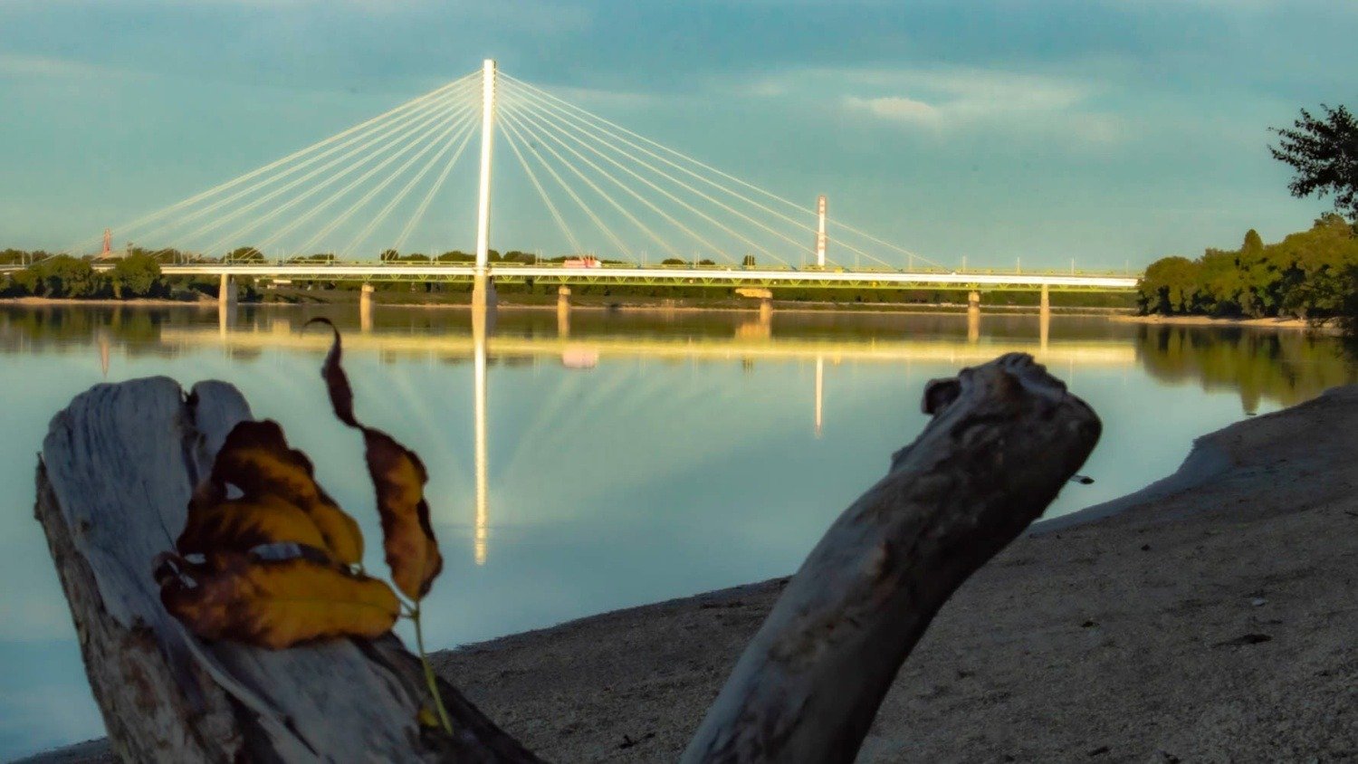 545598462 24823728297250931 2698318934363517346 n