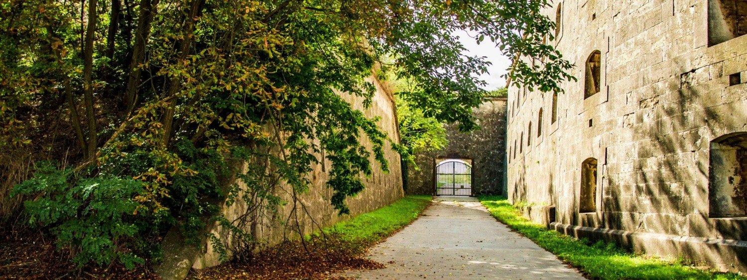 545880867 24853025747654519 3700090185393604651 n