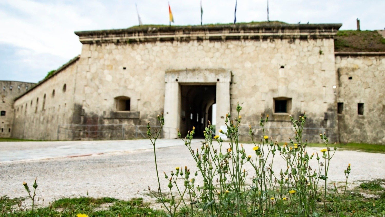 546447163 24837332979223796 7268008487170241936 n