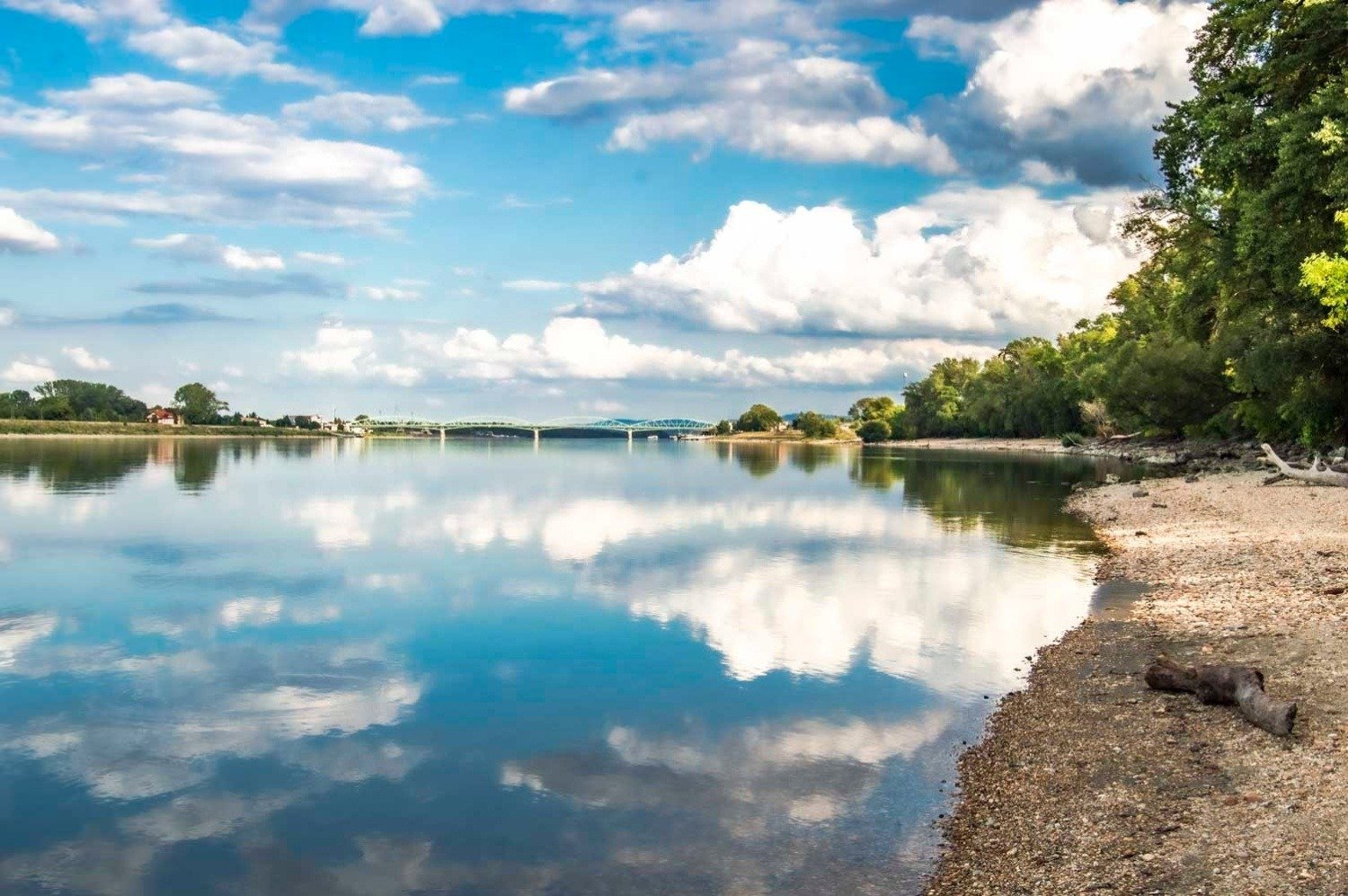 547070148 24831067166517044 3762002467759469468 n